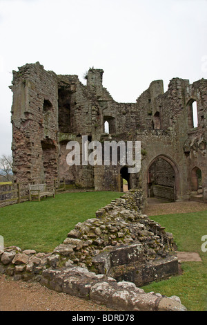 Raglan Castle in Monmouthshire South Wales Stockfoto