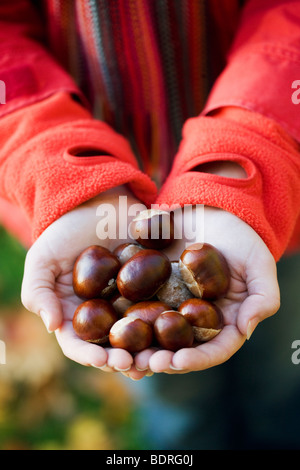 Eine Frau mit Kastanien Stockfoto