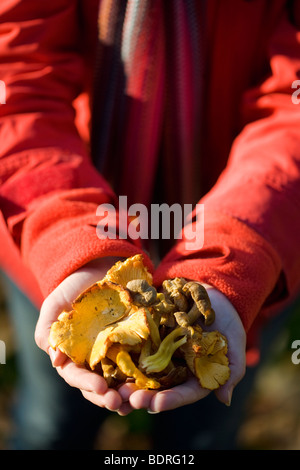 Eine Frau mit Pilzen Stockfoto