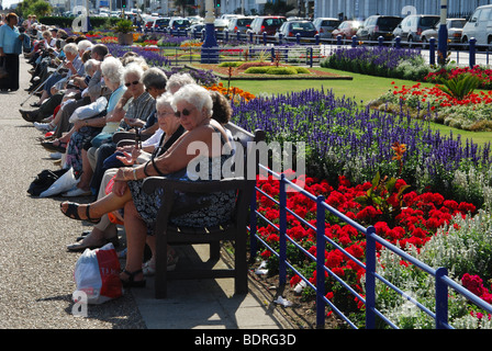 Rentner genießen des Sommers in Eastbourne Pier und Carpet Gardens, Großbritannien Stockfoto