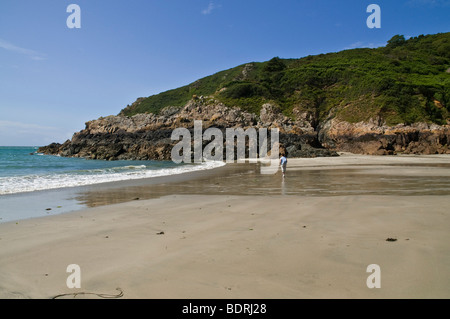 dh Petit bot Bay WALD GUERNSEY Frau Tourist zu Fuß entlang Ufer Sandstrand Kanal Inseln ein allein Wanderer Person Stockfoto