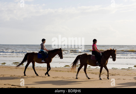 Eine Reitschule geht nach einer Kerbe am Strand und in der Brandung. Fahrer sind alle unterschiedlichen Alters und Könnens. Stockfoto