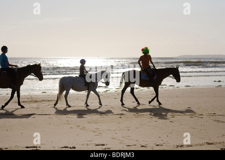 Eine Reitschule geht nach einer Kerbe am Strand und in der Brandung. Fahrer sind alle unterschiedlichen Alters und Könnens. Stockfoto