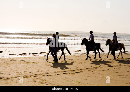 Eine Reitschule geht nach einer Kerbe am Strand und in der Brandung. Fahrer sind alle unterschiedlichen Alters und Könnens. Stockfoto