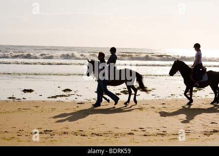 Eine Reitschule geht nach einer Kerbe am Strand und in der Brandung. Fahrer sind alle unterschiedlichen Alters und Könnens. Stockfoto