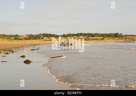 Eine Reitschule geht nach einer Kerbe am Strand und in der Brandung. Fahrer sind alle unterschiedlichen Alters und Könnens. Stockfoto