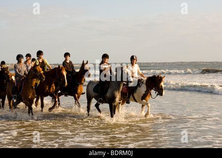 Eine Reitschule geht nach einer Kerbe am Strand und in der Brandung. Fahrer sind alle unterschiedlichen Alters und Könnens. Stockfoto