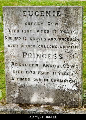 Ein Haustier Grab in Powerscourt Estate Haus und Garten, in der Nähe von Enniskerry im County Wicklow Irleand Stockfoto