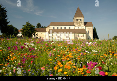 Späten karolingischen und ottonischen gebaut Basilika St. Georg in Oberzell, Insel Reichenau, Bodensee, Deutschland Stockfoto