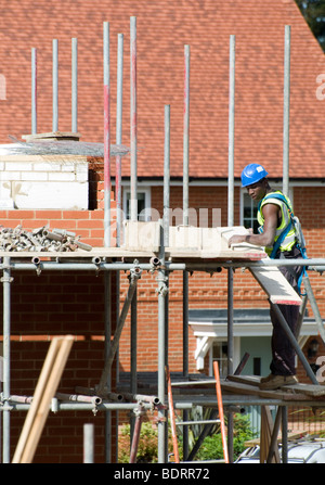 Baustelle Arbeiter Baugerüst zu errichten. Stockfoto