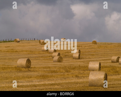 Nach der Ernte ein Spätsommer Blick vom Whitburn, South Tyneside, England Stockfoto