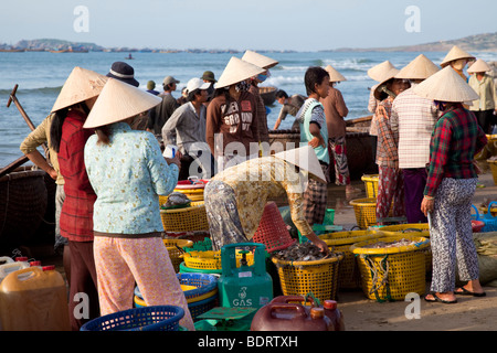 Morgen-Meeresfrüchte-Markt in Mui Ne, Vietnam Stockfoto