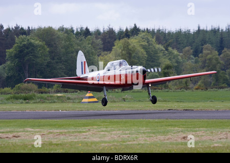 Caledonian Chipmunks aerobatic anzeigen Team fliegen de Havilland Chipmunk T10 Stockfoto