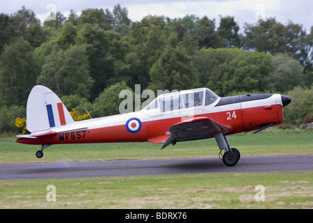 Caledonian Chipmunks aerobatic anzeigen Team fliegen de Havilland Chipmunk T10 Stockfoto