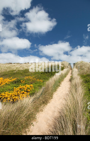 Großbritannien, England, Norfolk, Sea Palling, Fußweg durch die Dünen zum Strand Stockfoto