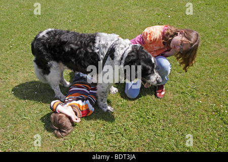 Kinder spielen mit ihrem Hund-Hund Stockfoto