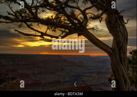 Der Colorado River schlängelt sich weit unter durch den Grand Canyon aus Hopi Point, Grand Canyon National Park, Arizona, USA. Stockfoto