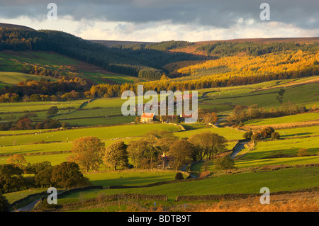 Bransdale bei Sonnenuntergang, North Yorkshire Moors National Park, England. Stockfoto