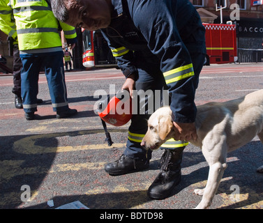 Eine Rettungshund und Hundeführer während der Zeit nach dem 30. April 2007 Dale Street-Feuer in Manchester, England. Stockfoto