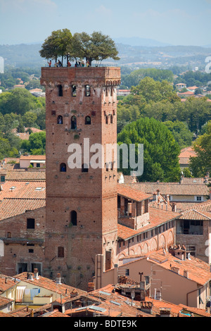 Torre Guinigi, Lucca, Toskana, Italien Stockfoto