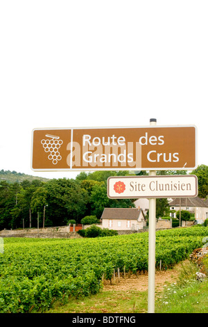 Roadsign an der berühmten Route des Grands Crus im Burgund Stockfoto