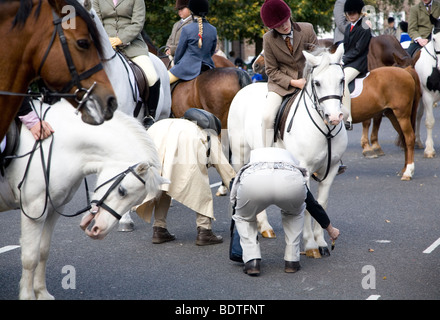 Polieren Pferde Hufe Stockfoto