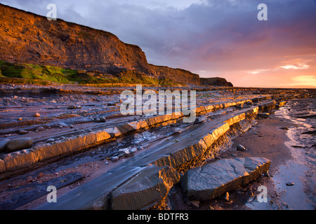 Am späten Abend Sonne glüht auf die horizontale leisten Kilve, Somerset, England. Frühjahr 2009 (Mai) Stockfoto