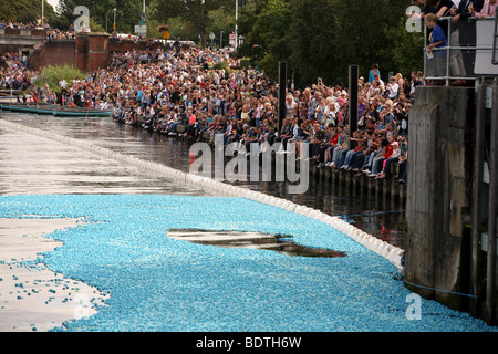 Tausende von Plastikenten freigegeben in der Themse bei Molesey Lock London Watch Massen am Ufer Flusses Stockfoto