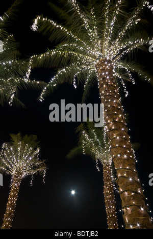 Beleuchteten Palmen in Dubai Stockfoto