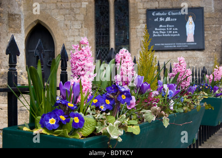 Frühling Blumen Cricklade Wiltshire Stockfoto