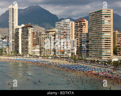 Strand und Skyline von Benidorm, Costa Blanca, Region Valencia in Spanien 7. September 2008. Stockfoto