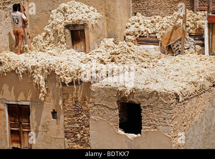 Arbeiter in einer Gerberei Souk in der Medina von Fes/Fez in Marokko in Nordafrika am 19. August 2009 abgebildet ist. Stockfoto