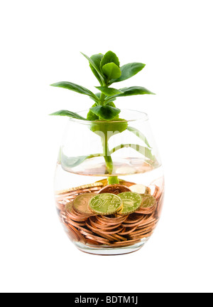 Euro-Münzen und grüne Pflanze, die in Glas Wasser Stockfoto