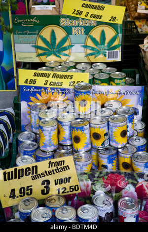 Selbst Zuchtboxen Cannabis für den Verkauf in einem Amsterdam-Markt Stockfoto