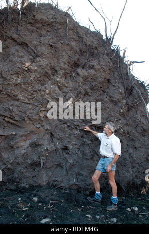 Mann steht unter umgestürzten Baum Stockfoto