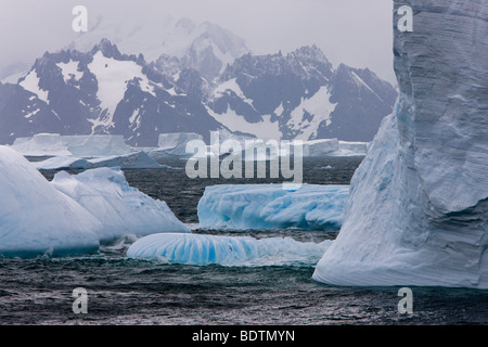 Viele große Blaue Eisberge vorbei an den Schnee in den Bergen von South Georgia in antarktischen Regionen, Wellen waschen über kleinere Eisberge Stockfoto