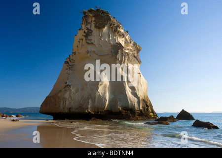 Cathedral Cove, durch Wind und Wasser geformt kunstvoll Felsformation am Strand von Cathedral Cove, Coromandel Peninsula, Neuseeland Stockfoto