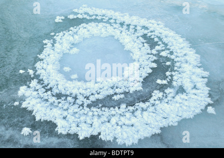 Eiskristalle, Abisko Nationalpark, Lappland, Norrbotten, Schweden, Eiskristalle, Abisko Nationalpark, Lappland, Schweden Stockfoto