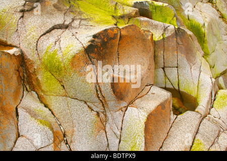 Flussbett Felsen bedeckt mit bunten Algen und Flechten in ausgetrocknete Flussbett Etive Fluss, Glen Etive, Glencoe-Bereich, Hochland, S Stockfoto