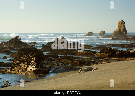 Küste Rock Formationen, Punakaiki, Paparoa National Park, West Coast, Südinsel, Neuseeland Stockfoto