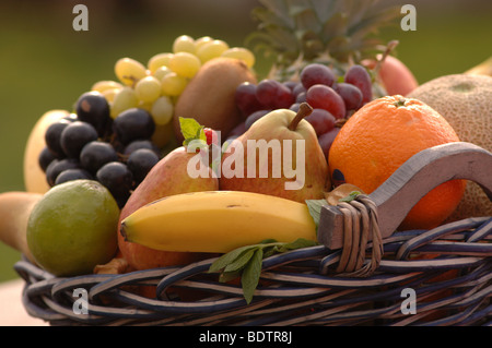 Früchte: Orange, Erdbeere, Melone, Bananen, Trauben im Weidenkorb Stockfoto