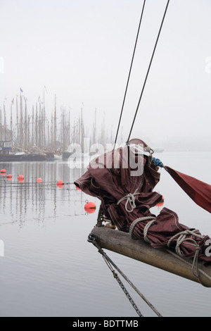 Gaff Rig Schiff Regatta, Flensburger Förde, Deutschland Stockfoto