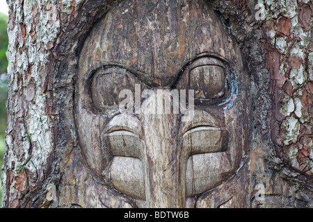 Tlingit-Indianer - (Hinweis-werkübergreifender des Rabenclan) / Tlingit - (The Raven Clan Territorium) / Yeil Stockfoto