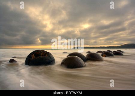 Moeraki Boulders, massive sphärische Felsen im Morgengrauen, umgeben vom Wasser der eingehende Flut, Coastal Otago, Südinsel, Neuseeland Stockfoto