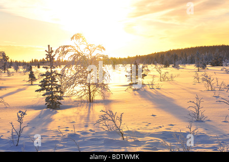 Wintermorgen Jokkmokk, morgen Stimmung im Winter, Lappland, Norrbotten, Schweden Stockfoto