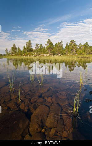 Morgendaemmerung Bei sehen Im Naturrerservat Rogen, dämmern am See Natur Reservat Rogen, Haerjedalen, Schweden Stockfoto