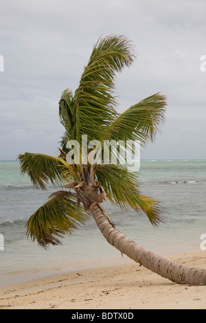 Strand von Nosy Nato, Madagaskar, Afrika, Strand, Madagaskar, Afrika Stockfoto