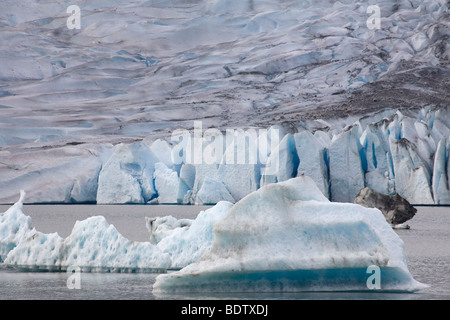 Mendenhall-Gletscher & Eisberge / Mendenhall-Gletscher & Eisberg / Juneau - Alaska Stockfoto