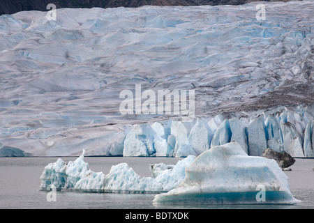 Mendenhall-Gletscher & Eisberge / Mendenhall-Gletscher & Eisberg / Juneau - Alaska Stockfoto