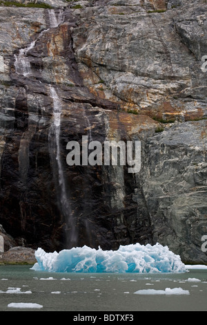 Eisberge - (Tracy Arm) / Eisberg - (Tracy Arm) / Juneau - Alaska Stockfoto